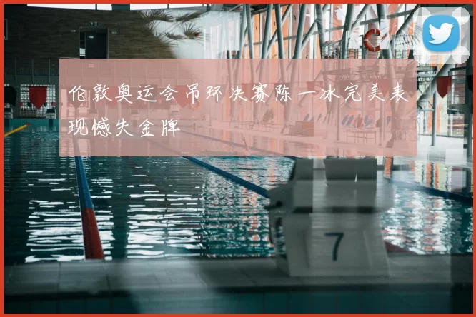 伦敦奥运会吊环决赛陈一冰完美表现憾失金牌